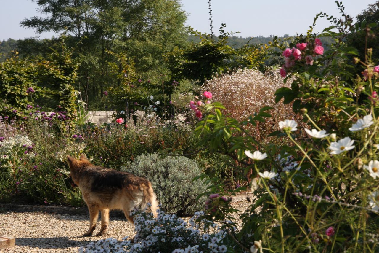 Chateau Manoir De La Leche Touvre Kültér fotó